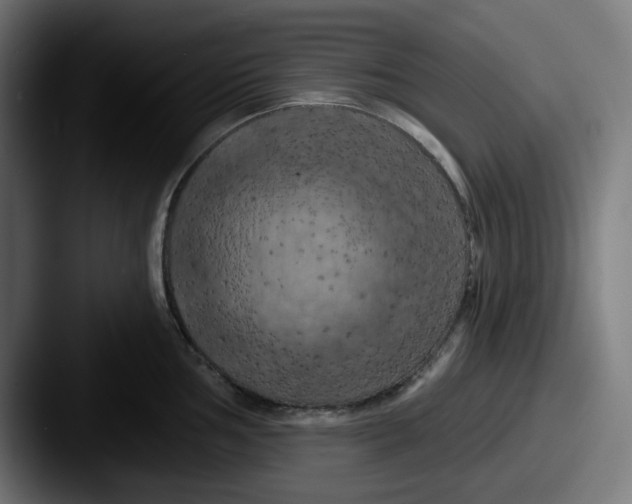 X0000087531002200705181027