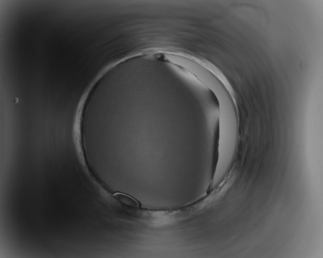 X0000087531005200705181027