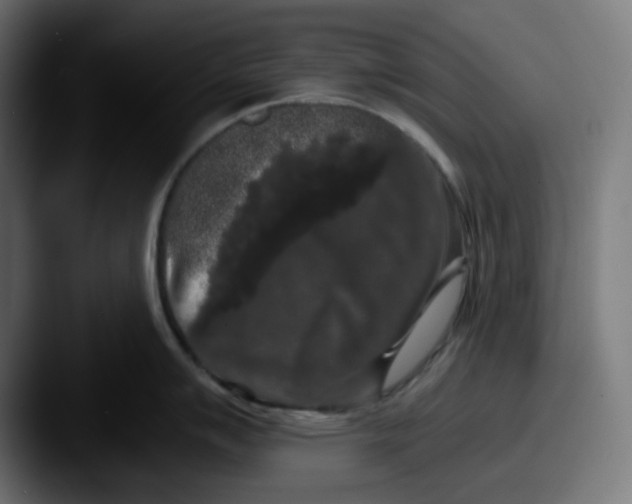 X0000087531007200705181027