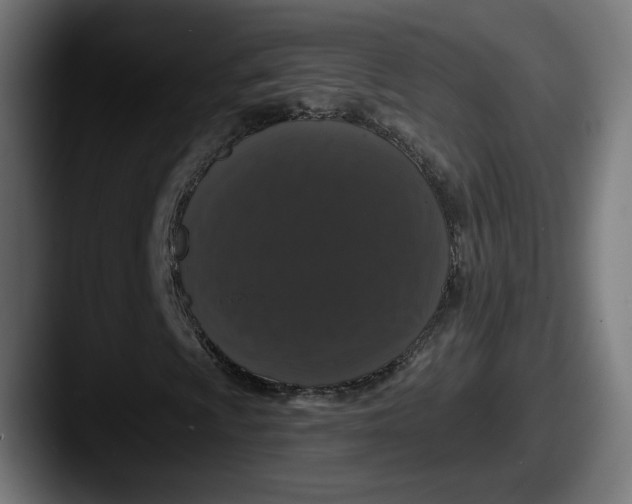 X0000087531009200705181026