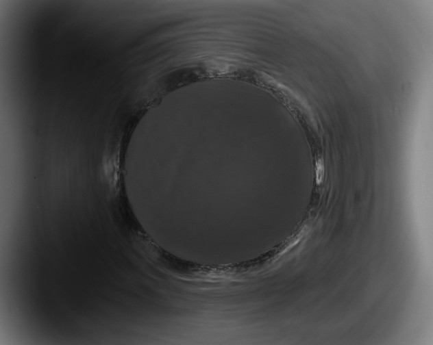 X0000087531011200705181026