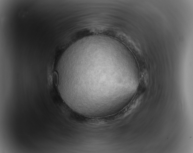 X0000087531012200705181026