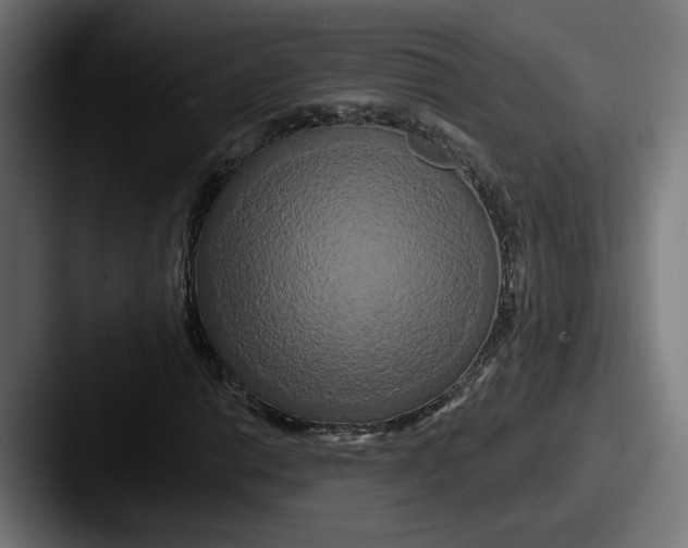 X0000087531014200705181026