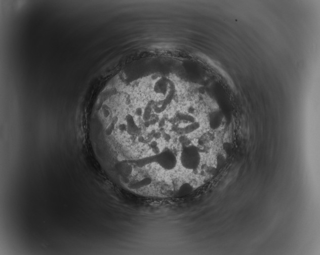 X0000087531015200705181026