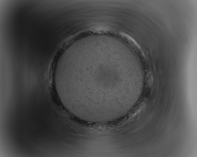 X0000087531016200705181027