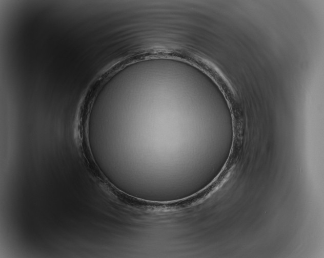 X0000087531018200705181027