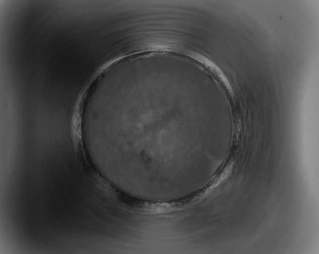 X0000087531019200705181027