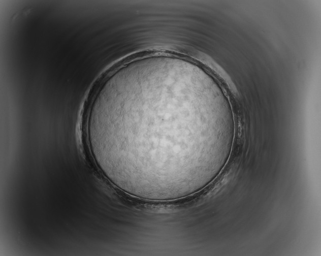 X0000087531020200705181027