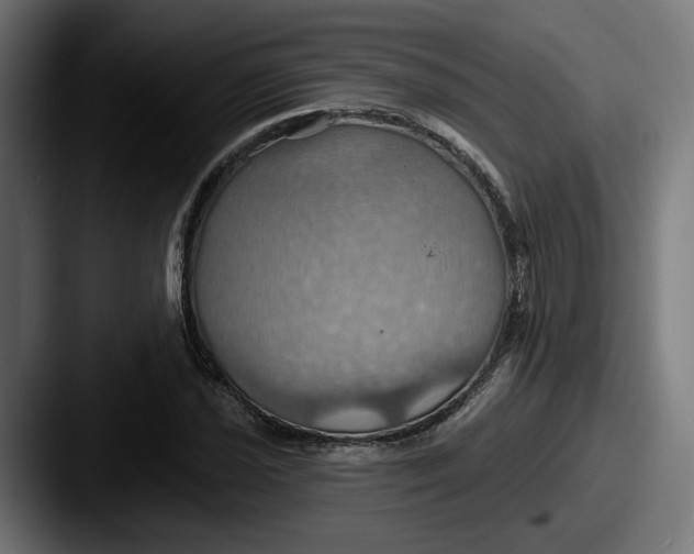 X0000087531021200705181027