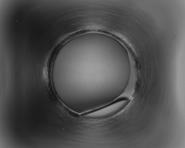 X0000087531022200705181027