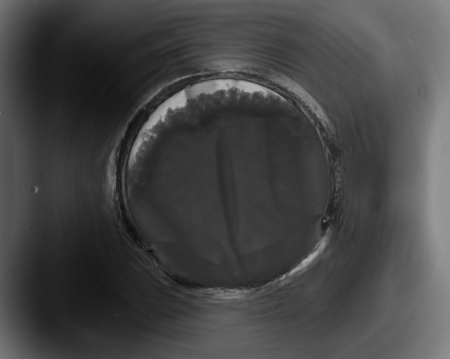 X0000087531023200705181027