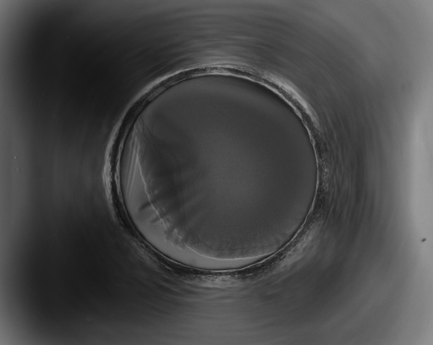 X0000087531024200705181027