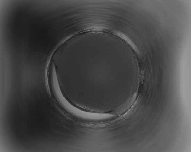 X0000087531026200705181027