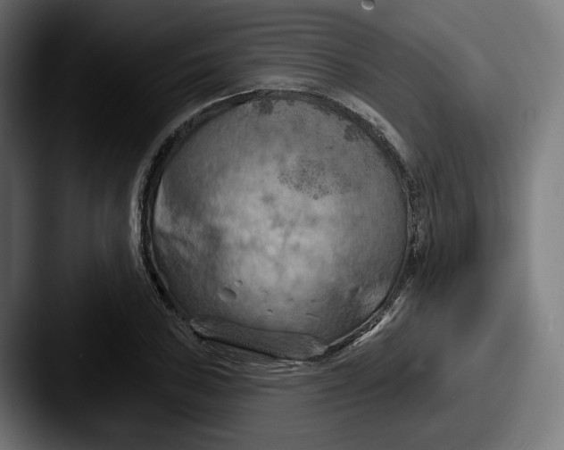 X0000087531027200705181027