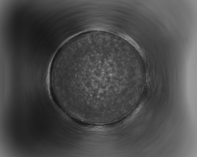 X0000087531028200705181027