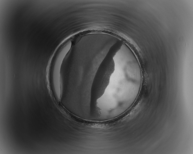 X0000087531029200705181027