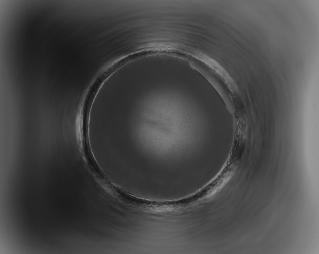 X0000087531030200705181027