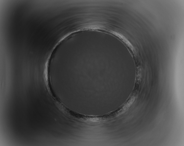 X0000087531031200705181027