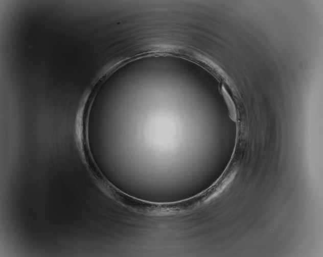 X0000087531034200705181027