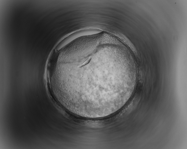 X0000087531036200705181027