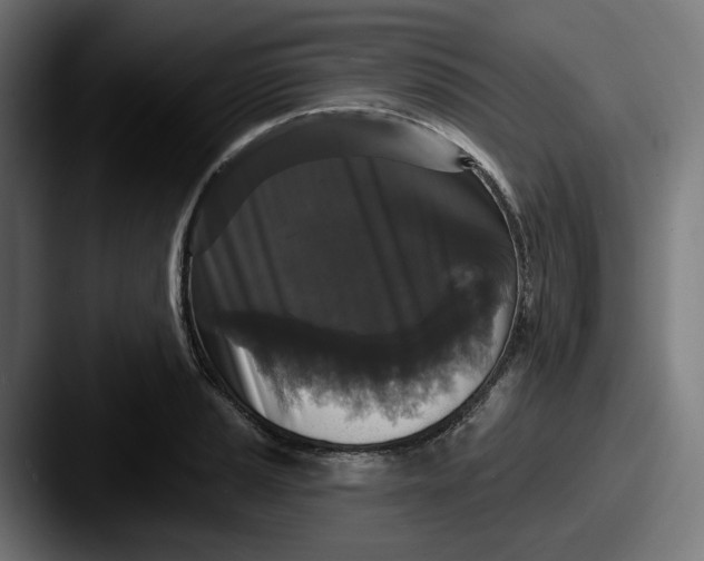 X0000087531037200705181027