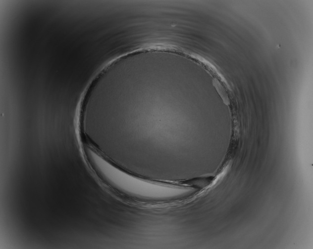 X0000087531038200705181027