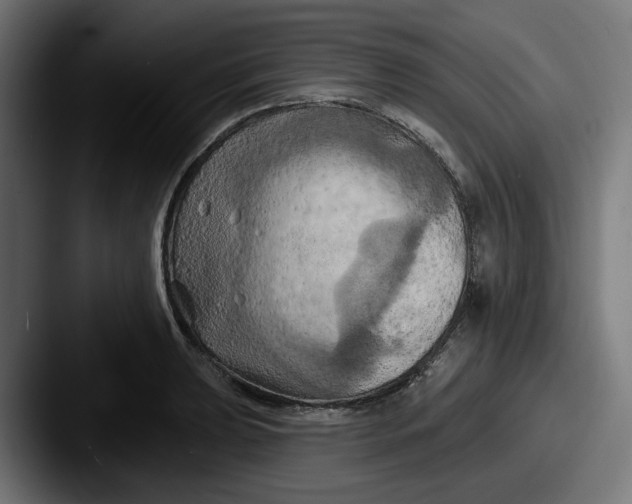 X0000087531039200705181027