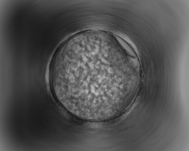 X0000087531040200705181027