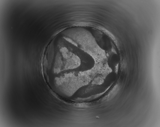 X0000087531041200705181027