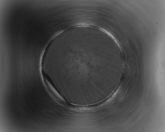 X0000087531042200705181027