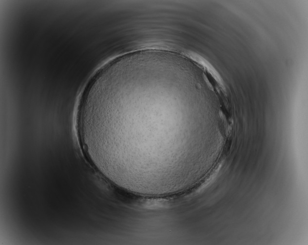 X0000087531043200705181027