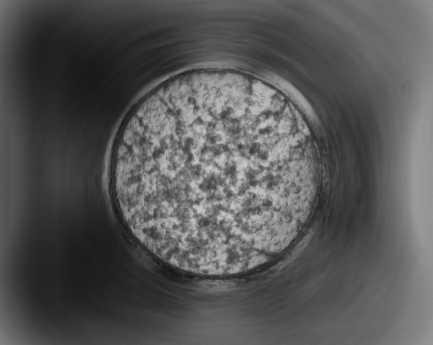 X0000087531044200705181027