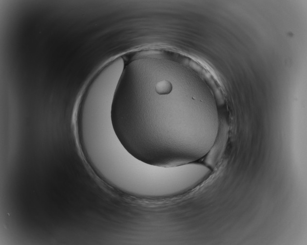 X0000087531046200705181027