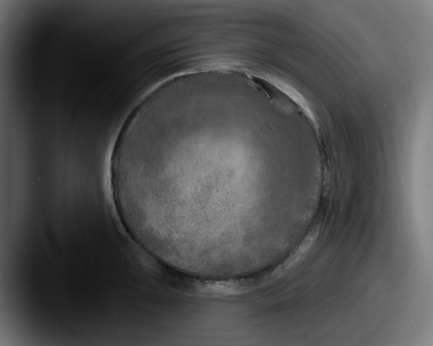 X0000087531047200705181027