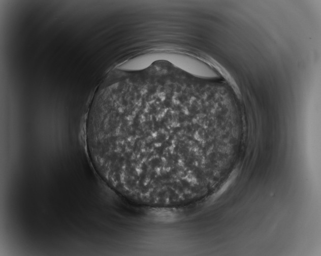 X0000087531049200705181027