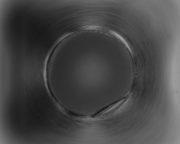 X0000087531050200705181027