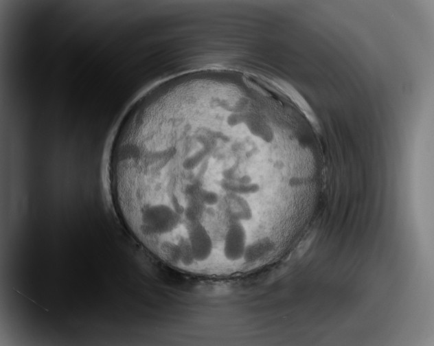 X0000087531051200705181027