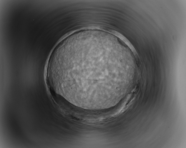 X0000087531052200705181027