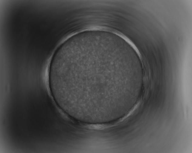 X0000087531053200705181027