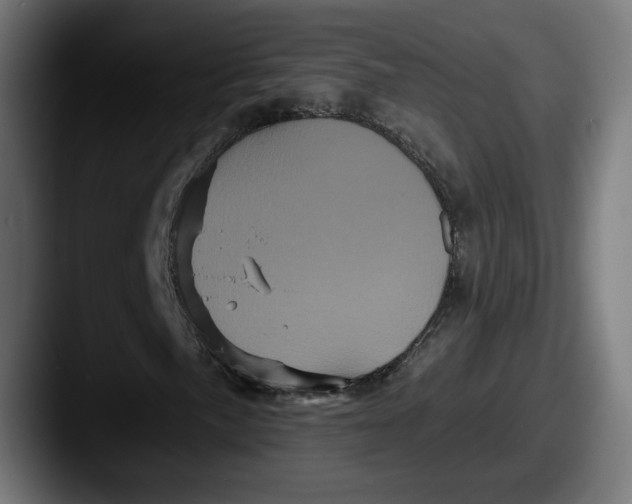 X0000087531057200705181026