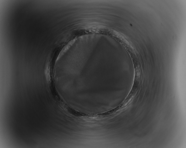 X0000087531060200705181026