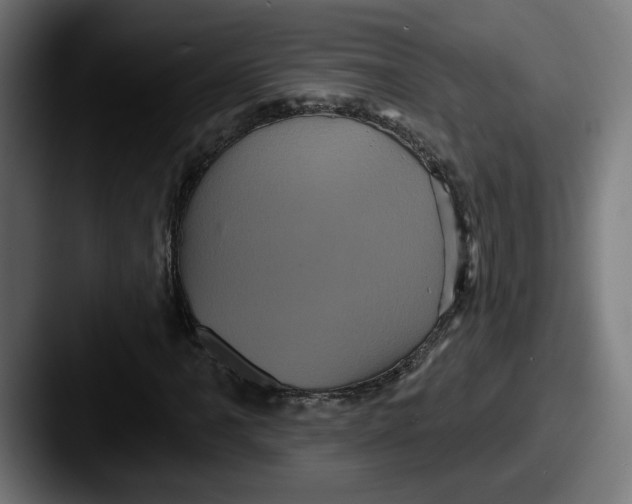 X0000087531061200705181026