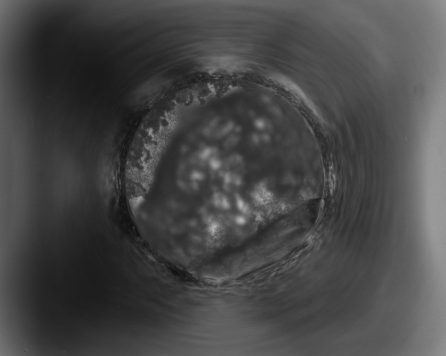 X0000087531063200705181026