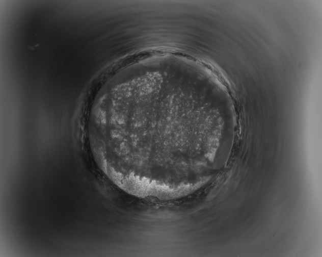 X0000087531064200705181026