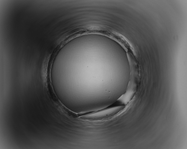 X0000087531065200705181026