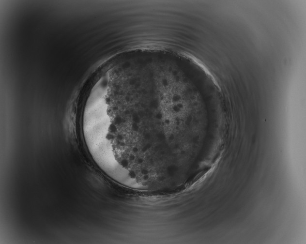 X0000087531066200705181026