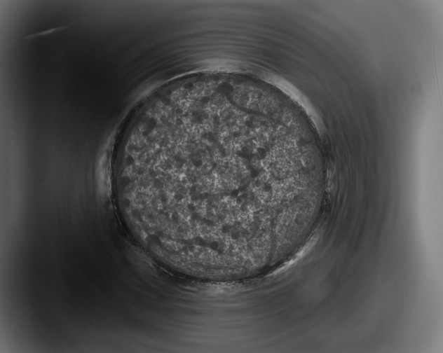 X0000087531067200705181026