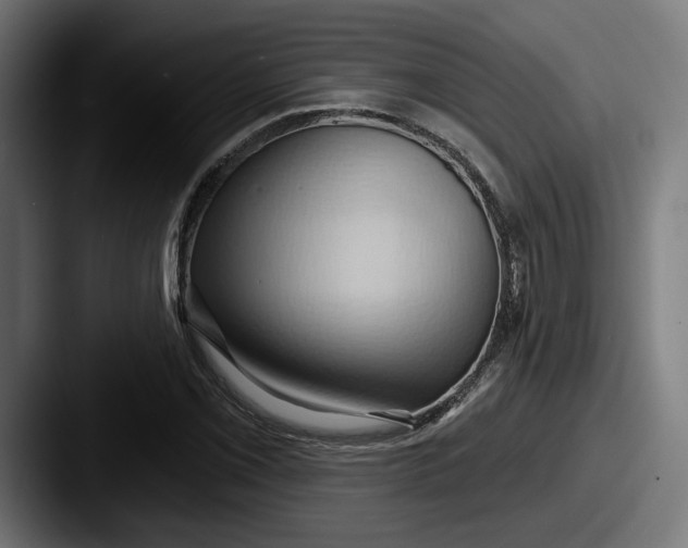 X0000087531069200705181026