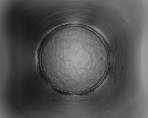 X0000087531070200705181026