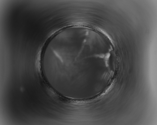 X0000087531071200705181026